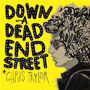 Chris Taylor - Down A Dead End Street FLAC