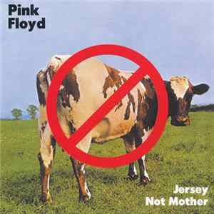 Pink Floyd - Jersey Not Mother FLAC