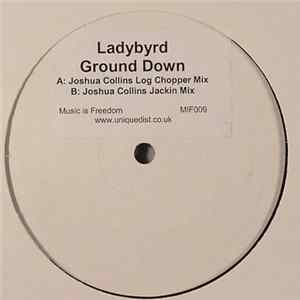 Ladybyrd - Ground Down FLAC
