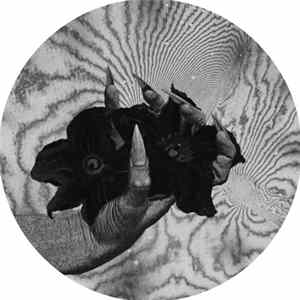 buddie - Never Been EP FLAC