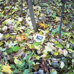 Duncan Harrison, BBBlood, Aqua Dentata - "Ineluctable Modality Of The Visible" FLAC
