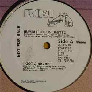 Bumblebee Unlimited - I Got A Big Bee / Space Shuttle Ride FLAC