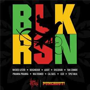 Various - BLK RSN FLAC