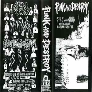 Various - Punk And Destroy FLAC