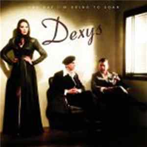 Dexys Midnight Runners - One Day I'm Going To Soar FLAC