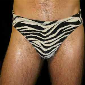 Hunx And His Punx - Gay Singles FLAC