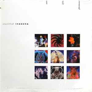 Startled Insects - Curse Of The Pheromones FLAC