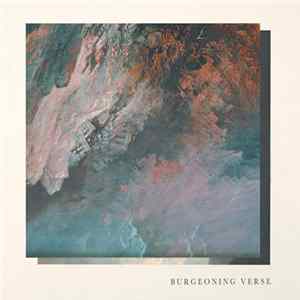 Ben Chisholm & Felix Skinner - Burgeoning Verse FLAC