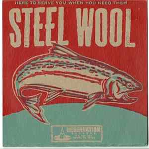 Steel Wool - Mechanical Servants Incorporated FLAC