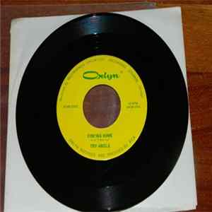 Try-Angle - Writing On The Wall / Com'ing Home FLAC