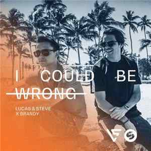 Lucas & Steve X Brandy - I Could Be Wrong FLAC