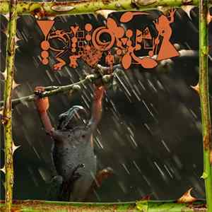 Phyllomedusa - Weather's A Thorn In My Side FLAC