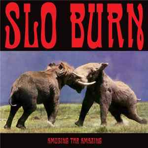Slo Burn - Amusing The Amazing FLAC