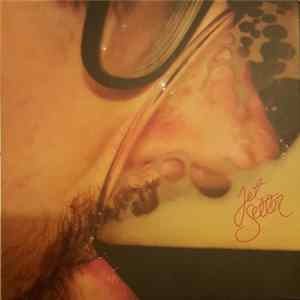 Jet Setter - Never Had It So Good FLAC