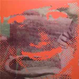 Deerhunter - Fluorescent Grey FLAC
