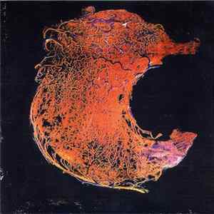 Ale Mania - Robust Universe / Bayview FLAC