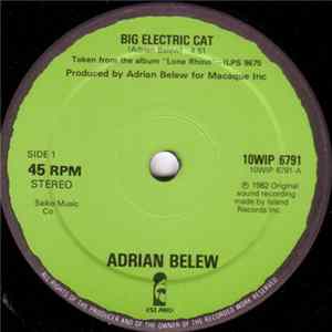 Adrian Belew - Big Electric Cat / The Lone Rhinoceros FLAC