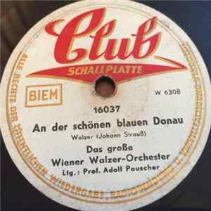 Das Große Wiener Walzerorchester / Wiener Walzer-Orchester - An Der Schönen Blauen Donau / Wiener Blut FLAC