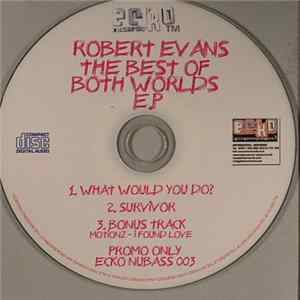 Robert Evans - The Best Of Both Worlds EP FLAC