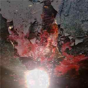Bootblacks - Veins FLAC