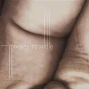 nnnj - Monkey Straddle FLAC