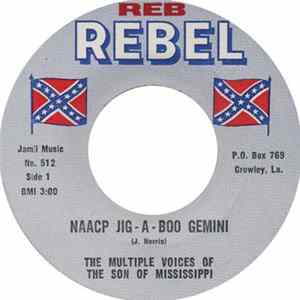 The Multiple Voices Of The Son Of Mississippi - NAACP Jig - A - Boo Gemini FLAC