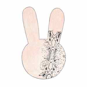Aye Aye Rabbit / John Dieterich, Luke Gullickson - Aye Aye Rabbit / Ascending Diagonals FLAC