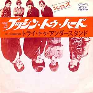 The Seeds Featuring Sky Saxon - Pushin' Too Hard FLAC