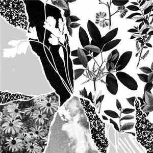 Ponctuation - Mon Herbier Du Monde Entier FLAC