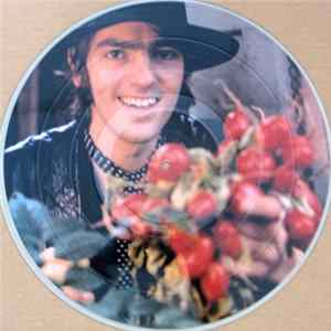 Robyn Hitchcock - Exploding In Silence FLAC