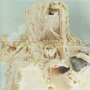 Pale Saints - In Ribbons FLAC