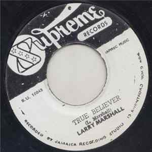 Larry Marshall - True Believer FLAC