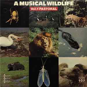 Sam Sklair / Gerhard Narholz / John Fox - A Musical Wildlife Vol. 1 Pastoral FLAC