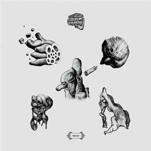 Ethnique Punch - Vinyet FLAC