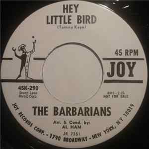 The Barbarians - Hey Little Bird / You've Got To Understand FLAC