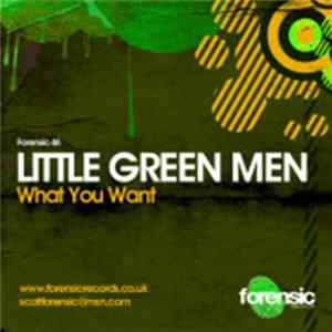 Little Green Men Feat. Sandy Mill - What You Want FLAC