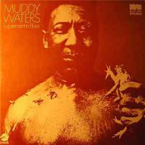 Muddy Waters - Experiment In Blues FLAC