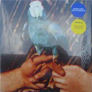Andrew Bird - Are You Serious FLAC