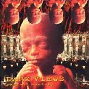 Dark Views - Perfect Society FLAC