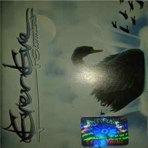 EverEve - Stormbirds FLAC
