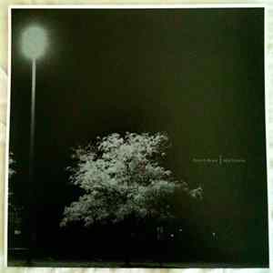 Paint It Black - New Lexicon FLAC