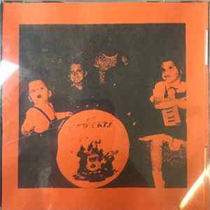 R. Stevie Moore - Stevie Moore On Graycroft FLAC