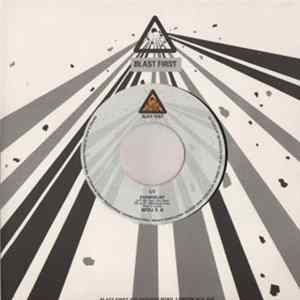 UT / Dinosaur Jr. - Evangelist / Bulbs Of Passion FLAC