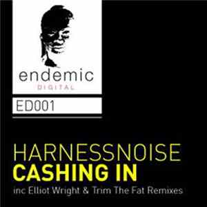 Harnessnoise - Cashing In FLAC