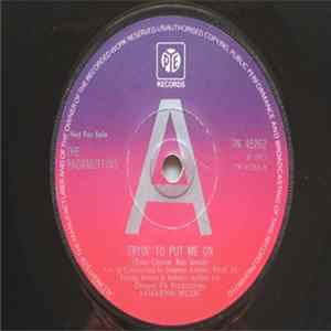 The Ragamuffins - Tryin' To Put Me On FLAC