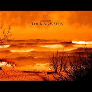 Redundant - Flocking Waves FLAC