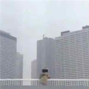 Virtual Polygon - Parallel Conurbation FLAC