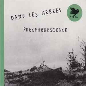 Dans Les Arbres - Phosphorescence FLAC