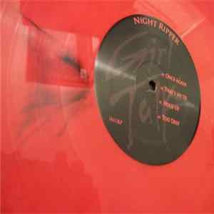 Girl Talk - Night Ripper FLAC