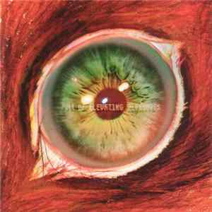 Boom Boom Satellites - Full Of Elevating Pleasures FLAC